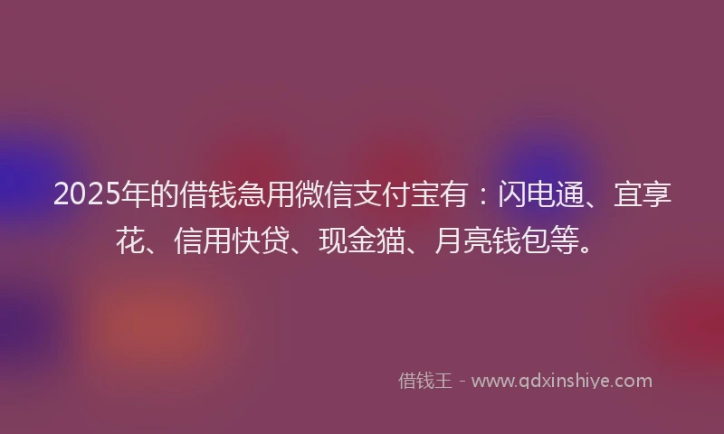 2025年的借钱急用微信支付宝有:闪电通、宜享花、信用快贷、现金猫、月亮钱包等。