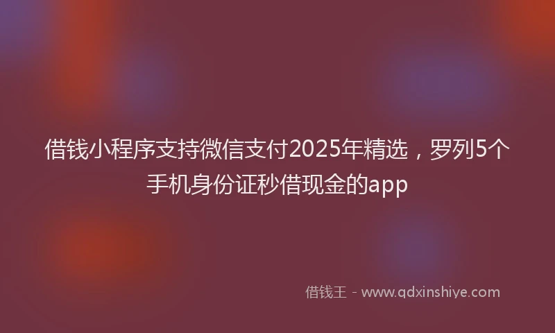 借钱小程序支持微信支付2025年精选,罗列5个手机身份证秒借现金的app