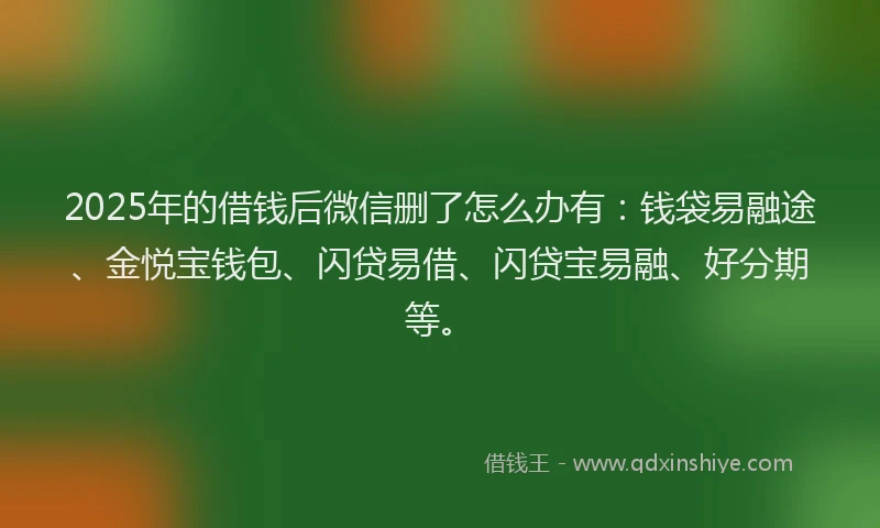 2025年的借钱后微信删了怎么办有:钱袋易融途、金悦宝钱包、闪贷易借、闪贷宝易融、好分期等。