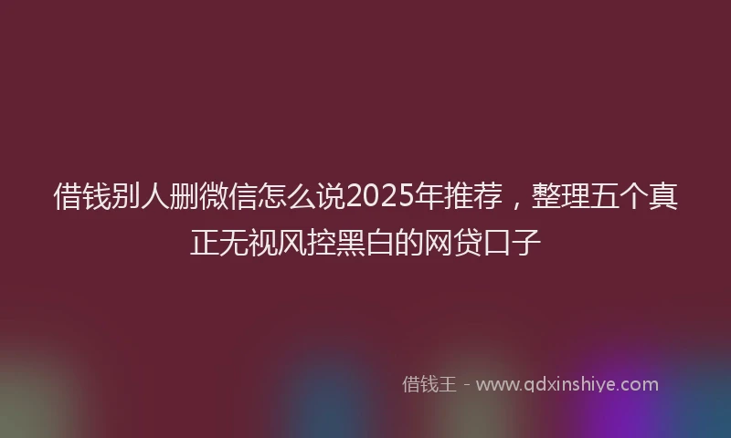 借钱别人删微信怎么说2025年推荐，整理五个真正无视风控黑白的网贷口子