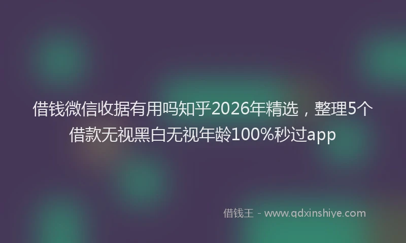 借钱微信收据有用吗知乎2026年精选，整理5个借款无视黑白无视年龄100%秒过app