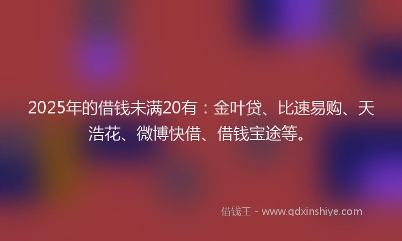 2025年的借钱未满20有：金叶贷、比速易购、天浩花、微博快借、借钱宝途等。