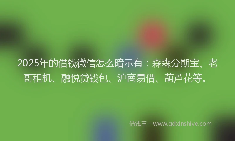 2025年的借钱微信怎么暗示有：森森分期宝、老哥租机、融悦贷钱包、沪商易借、葫芦花等。