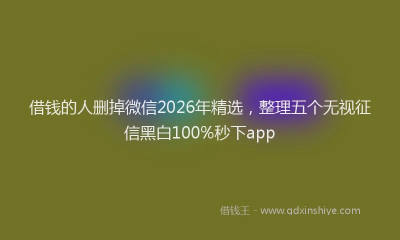 借钱的人删掉微信2026年精选，整理五个无视征信黑白100%秒下app