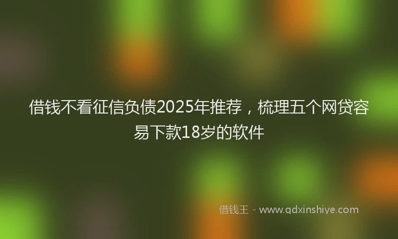 借钱不看征信负债2025年推荐,梳理五个网贷容易下款18岁的软件