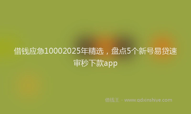 借钱应急10002025年精选，盘点5个新号易贷速审秒下款app
