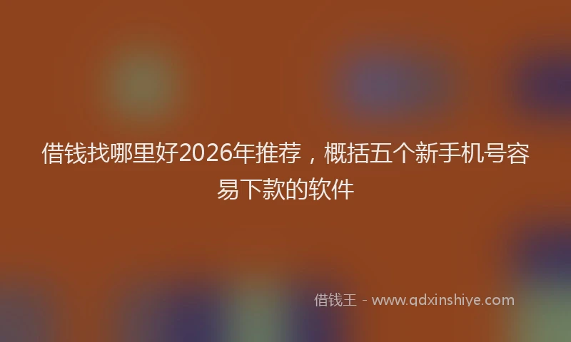 借钱找哪里好2026年推荐，概括五个新手机号容易下款的软件