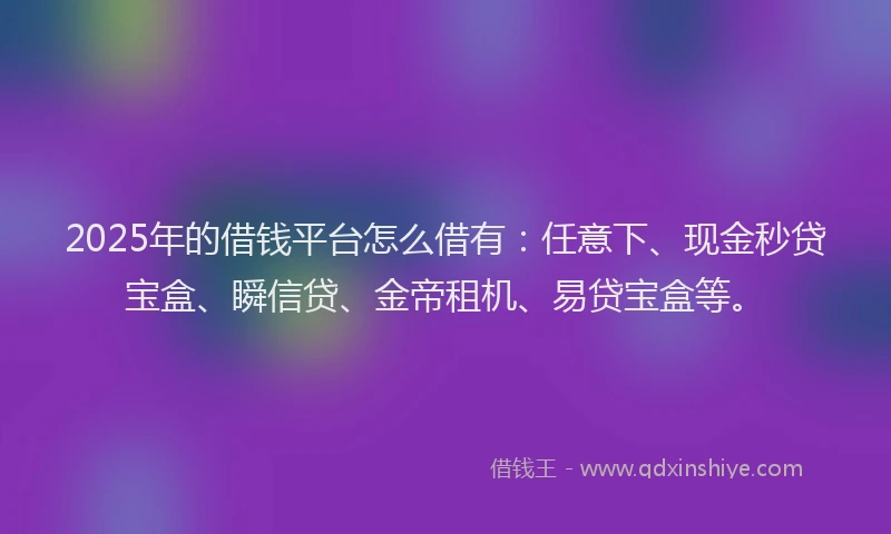 2025年的借钱平台怎么借有：任意下、现金秒贷宝盒、瞬信贷、金帝租机、易贷宝盒等。