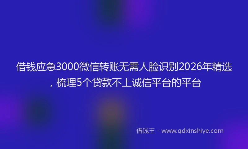 借钱应急3000微信转账无需人脸识别2026年精选,梳理5个贷款不上诚信平台的平台
