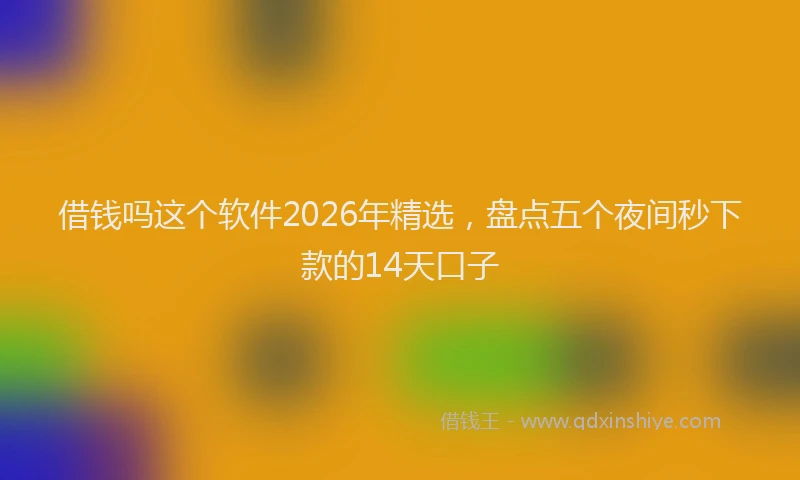 借钱吗这个软件2026年精选,盘点五个夜间秒下款的14天口子