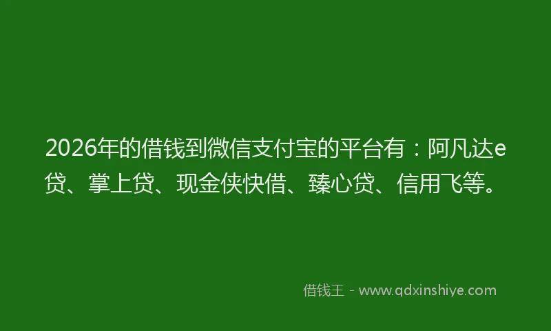 2026年的借钱到微信支付宝的平台有：阿凡达e贷、掌上贷、现金侠快借、臻心贷、信用飞等。