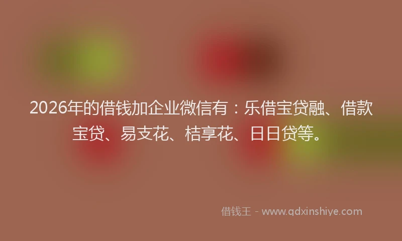 2026年的借钱加企业微信有:乐借宝贷融、借款宝贷、易支花、桔享花、日日贷等。