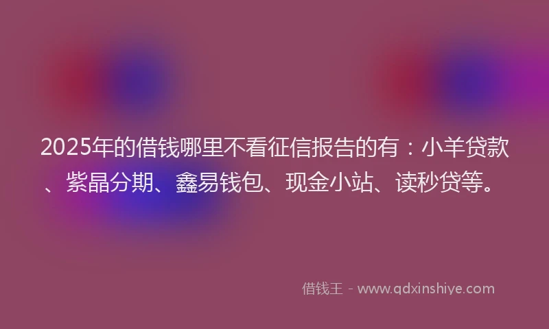 2025年的借钱哪里不看征信报告的有:小羊贷款、紫晶分期、鑫易钱包、现金小站、读秒贷等。