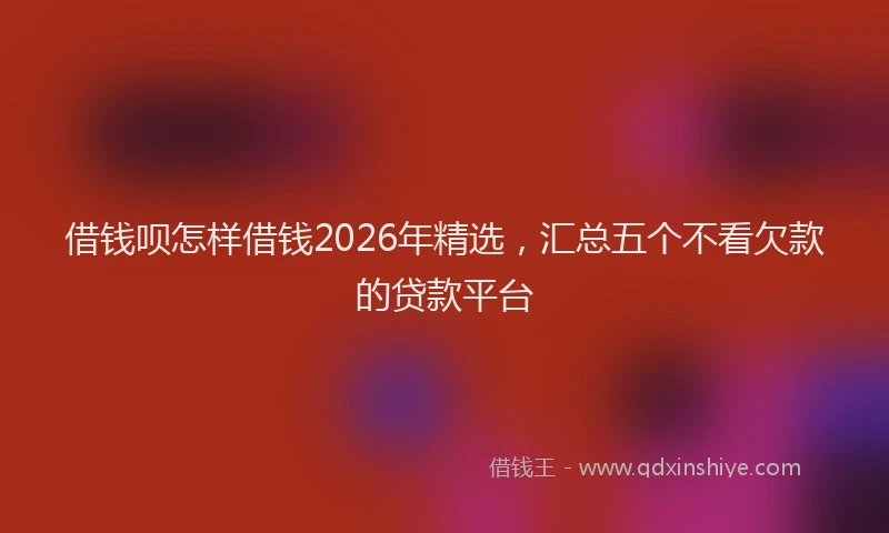 借钱呗怎样借钱2026年精选，汇总五个不看欠款的贷款平台