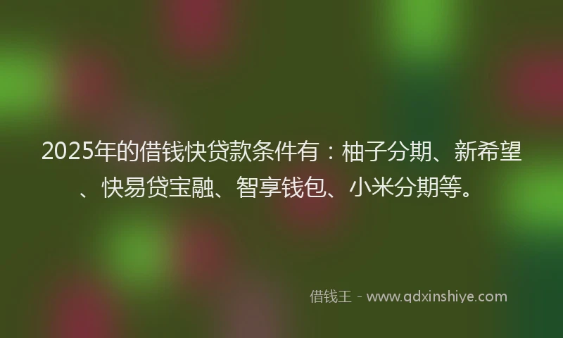 2025年的借钱快贷款条件有：柚子分期、新希望、快易贷宝融、智享钱包、小米分期等。