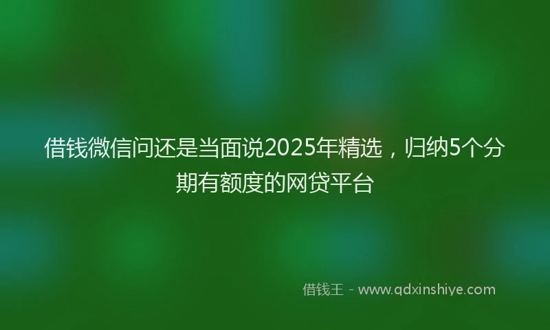 借钱微信问还是当面说2025年精选,归纳5个分期有额度的网贷平台
