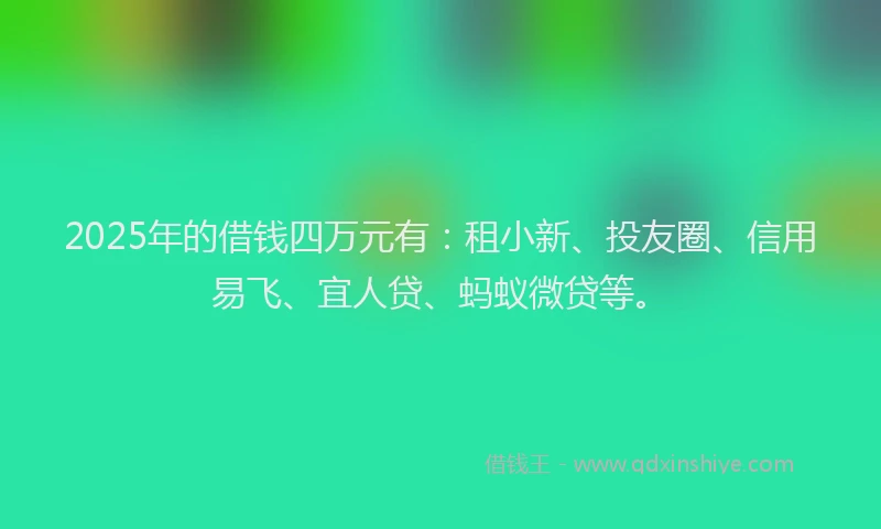 2025年的借钱四万元有：租小新、投友圈、信用易飞、宜人贷、蚂蚁微贷等。