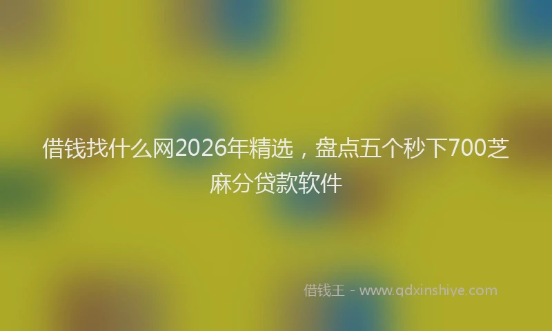 借钱找什么网2026年精选,盘点五个秒下700芝麻分贷款软件