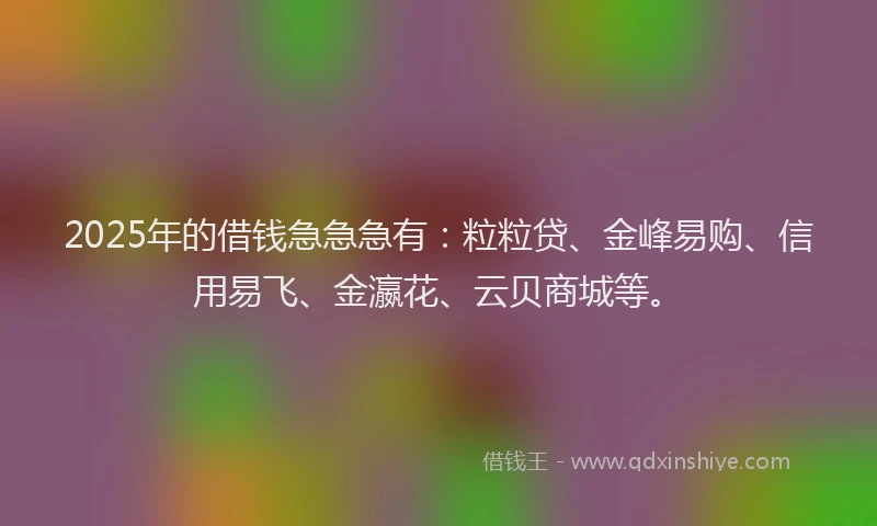 2025年的借钱急急急有:粒粒贷、金峰易购、信用易飞、金瀛花、云贝商城等。