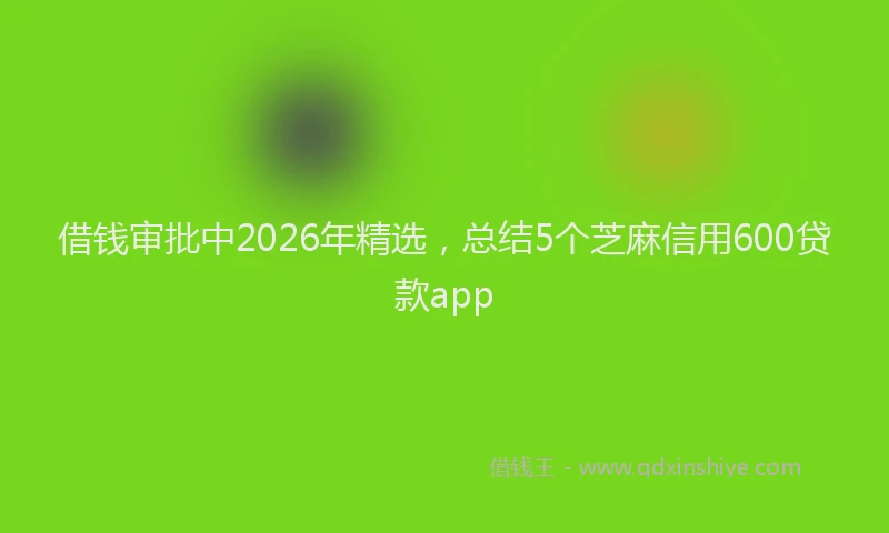 借钱审批中2026年精选，总结5个芝麻信用600贷款app
