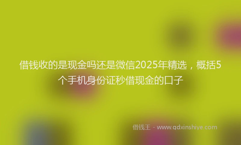 借钱收的是现金吗还是微信2025年精选，概括5个手机身份证秒借现金的口子