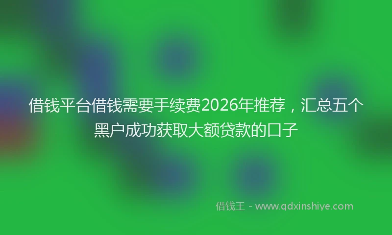 借钱平台借钱需要手续费2026年推荐，汇总五个黑户成功获取大额贷款的口子