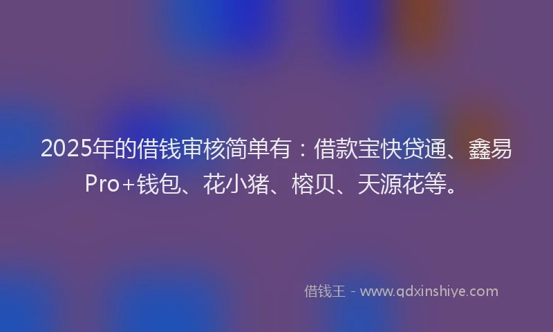 2025年的借钱审核简单有:借款宝快贷通、鑫易Pro+钱包、花小猪、榕贝、天源花等。