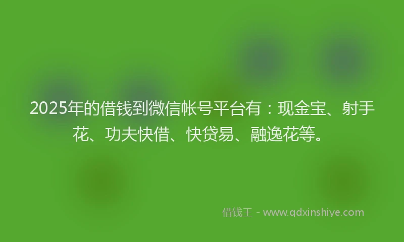 2025年的借钱到微信帐号平台有：现金宝、射手花、功夫快借、快贷易、融逸花等。