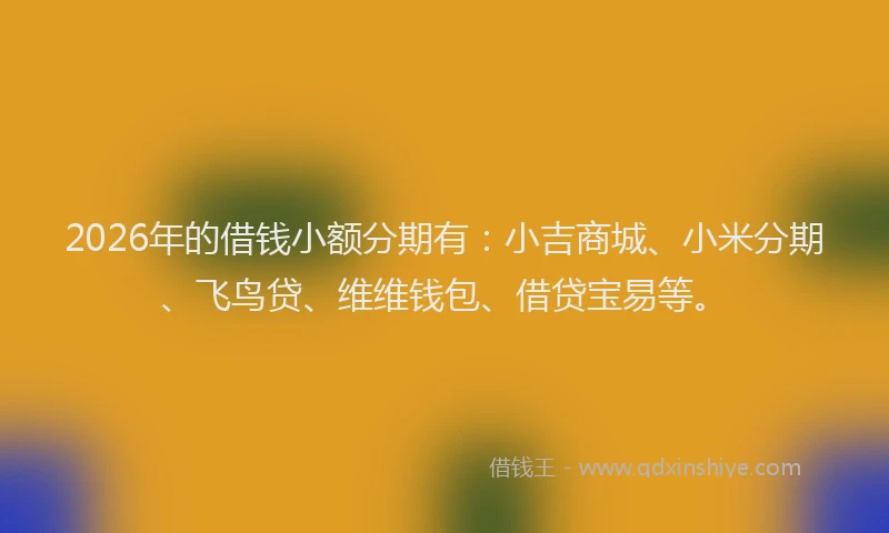 2026年的借钱小额分期有：小吉商城、小米分期、飞鸟贷、维维钱包、借贷宝易等。