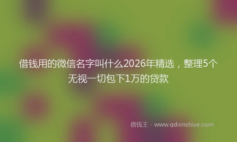 借钱用的微信名字叫什么2026年精选，整理5个无视一切包下1万的贷款