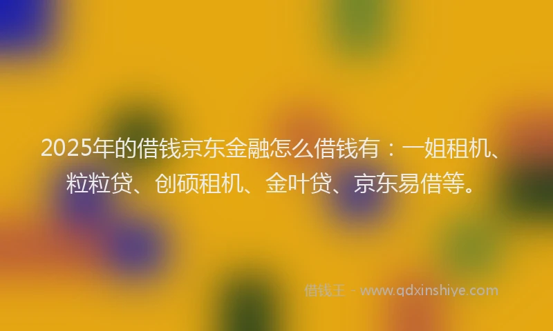 2025年的借钱京东金融怎么借钱有:一姐租机、粒粒贷、创硕租机、金叶贷、京东易借等。