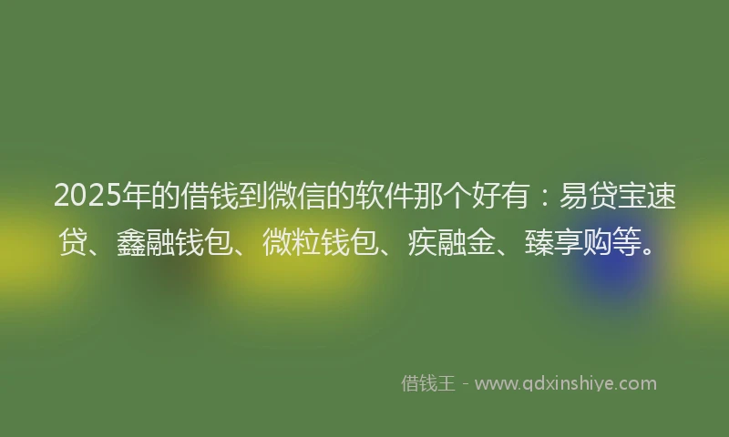 2025年的借钱到微信的软件那个好有：易贷宝速贷、鑫融钱包、微粒钱包、疾融金、臻享购等。
