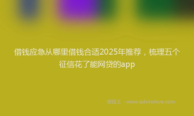 借钱应急从哪里借钱合适2025年推荐，梳理五个征信花了能网贷的app