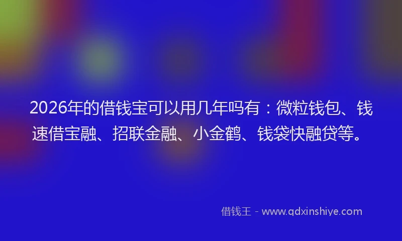 2026年的借钱宝可以用几年吗有:微粒钱包、钱速借宝融、招联金融、小金鹤、钱袋快融贷等。