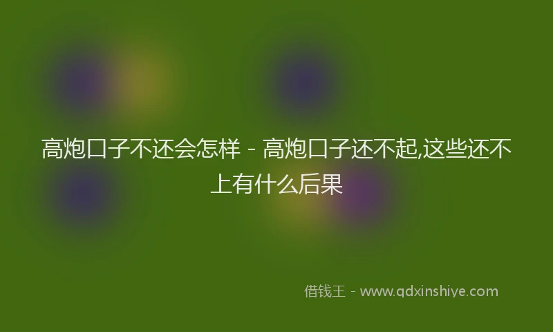 高炮口子不还会怎样 - 高炮口子还不起,这些还不上有什么后果