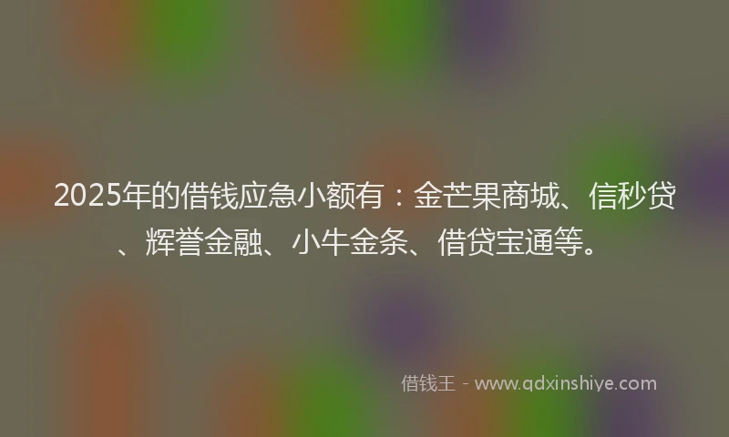 2025年的借钱应急小额有：金芒果商城、信秒贷、辉誉金融、小牛金条、借贷宝通等。