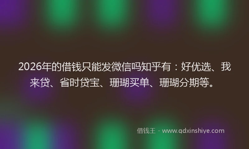 2026年的借钱只能发微信吗知乎有：好优选、我来贷、省时贷宝、珊瑚买单、珊瑚分期等。
