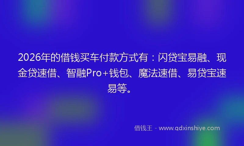 2026年的借钱买车付款方式有：闪贷宝易融、现金贷速借、智融Pro+钱包、魔法速借、易贷宝速易等。