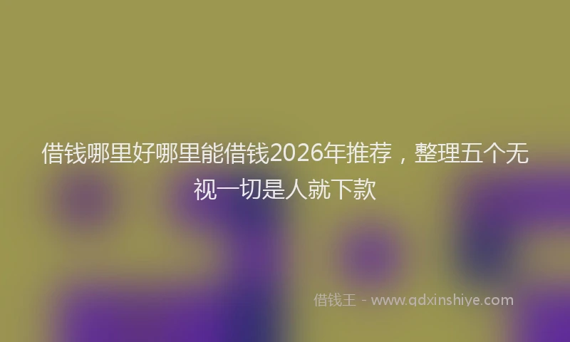 借钱哪里好哪里能借钱2026年推荐,整理五个无视一切是人就下款