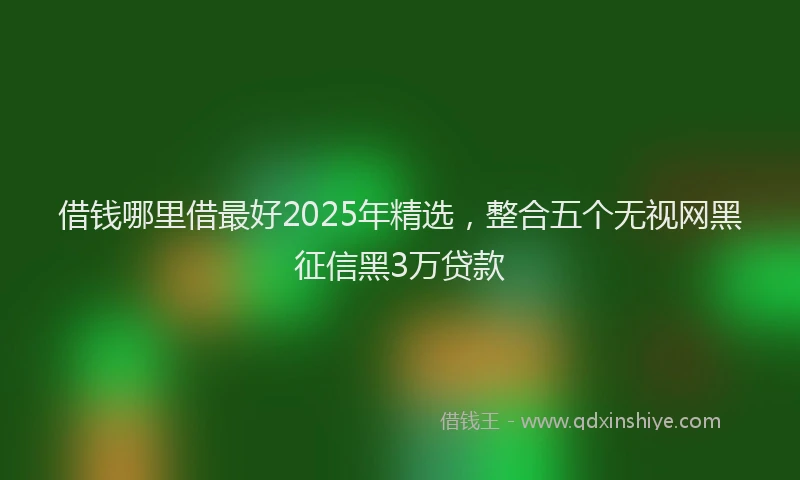 借钱哪里借最好2025年精选，整合五个无视网黑征信黑3万贷款