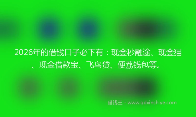 2026年的借钱口子必下有：现金秒融途、现金猫、现金借款宝、飞鸟贷、便荔钱包等。
