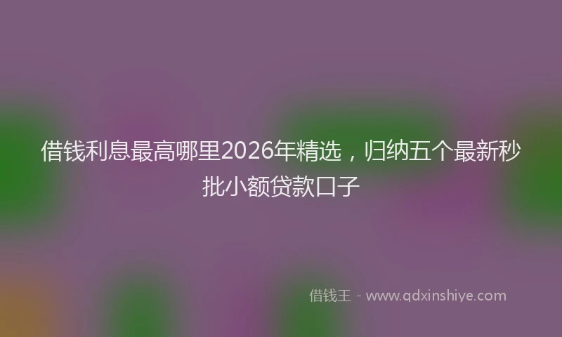 借钱利息最高哪里2026年精选,归纳五个最新秒批小额贷款口子