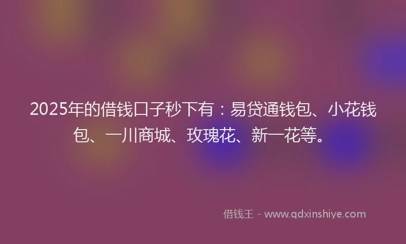 2025年的借钱口子秒下有：易贷通钱包、小花钱包、一川商城、玫瑰花、新一花等。