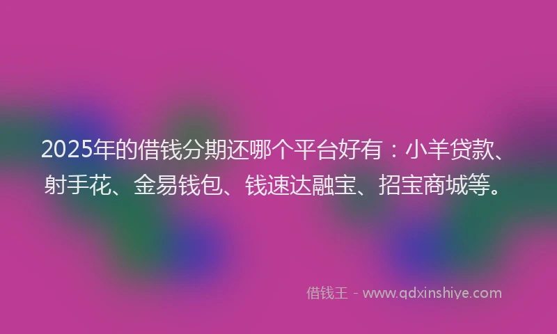 2025年的借钱分期还哪个平台好有：小羊贷款、射手花、金易钱包、钱速达融宝、招宝商城等。