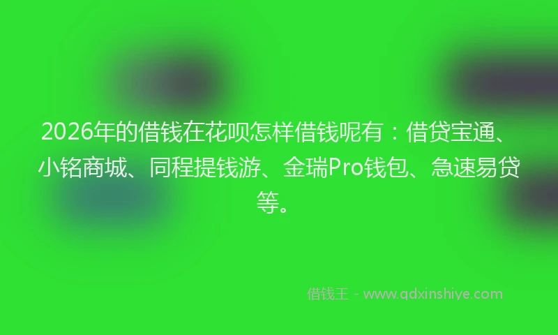 2026年的借钱在花呗怎样借钱呢有：借贷宝通、小铭商城、同程提钱游、金瑞Pro钱包、急速易贷等。