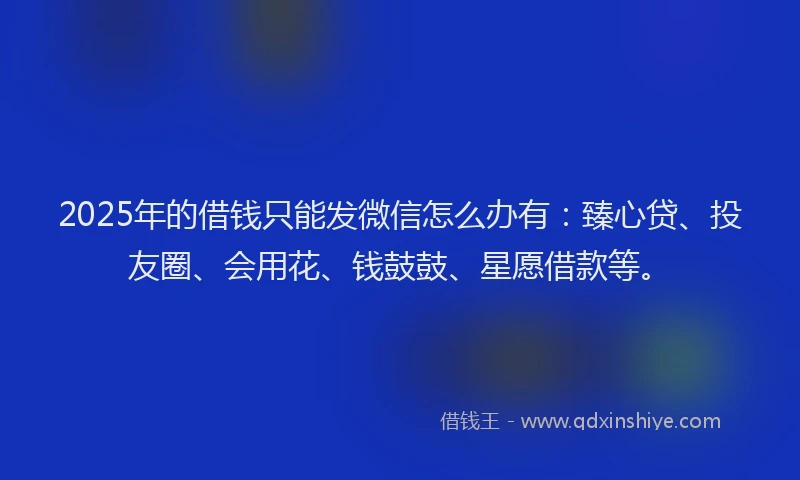 2025年的借钱只能发微信怎么办有：臻心贷、投友圈、会用花、钱鼓鼓、星愿借款等。
