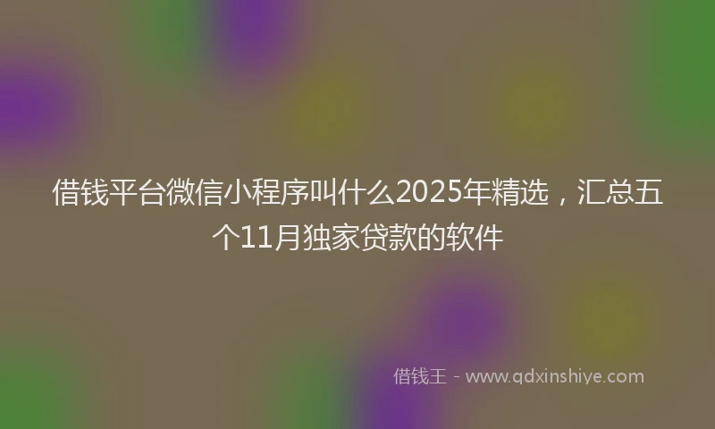 借钱平台微信小程序叫什么2025年精选，汇总五个11月独家贷款的软件