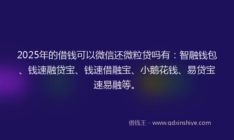 2025年的借钱可以微信还微粒贷吗有：智融钱包、钱速融贷宝、钱速借融宝、小鹅花钱、易贷宝速易融等。
