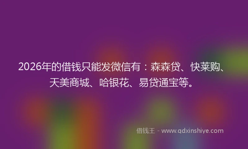 2026年的借钱只能发微信有:森森贷、快莱购、天美商城、哈银花、易贷通宝等。