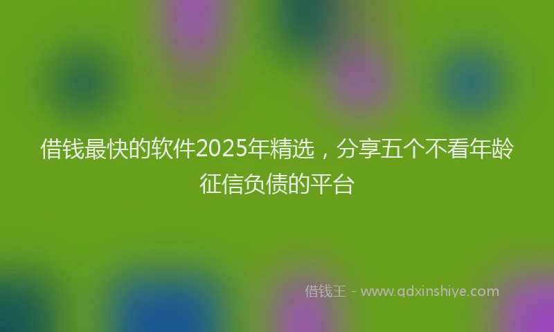 借钱最快的软件2025年精选，分享五个不看年龄征信负债的平台